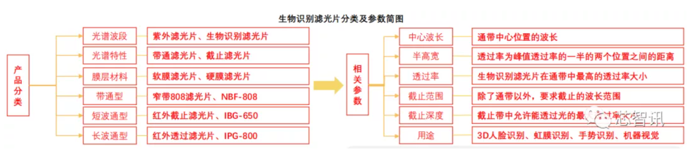 濾光片