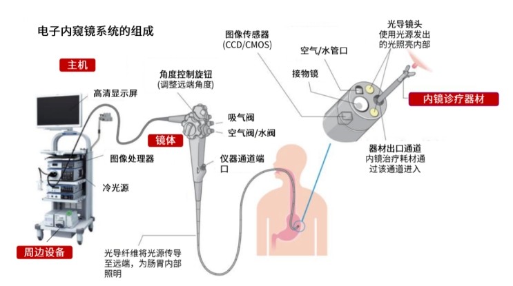 電子內窺鏡系統(tǒng)的組成