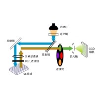 什么是熒光定量PCR、數(shù)字PCR？