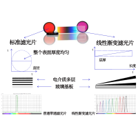 線性漸變?yōu)V光片是什么？有何特點？